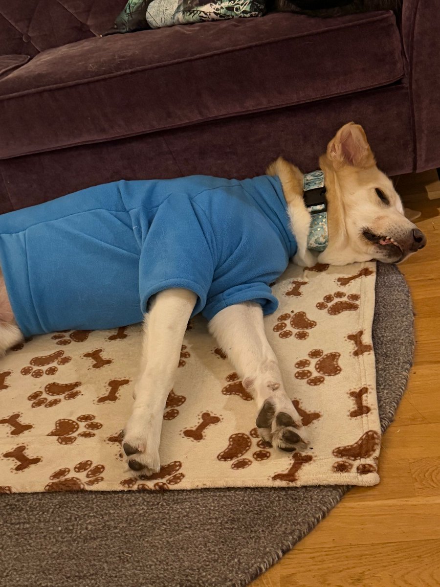 KayCat 🔜 FWA tweet media