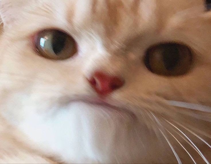 Очікування: приїду додому, помию голову. 
Реальність: приїхала додому, немає світла та води.