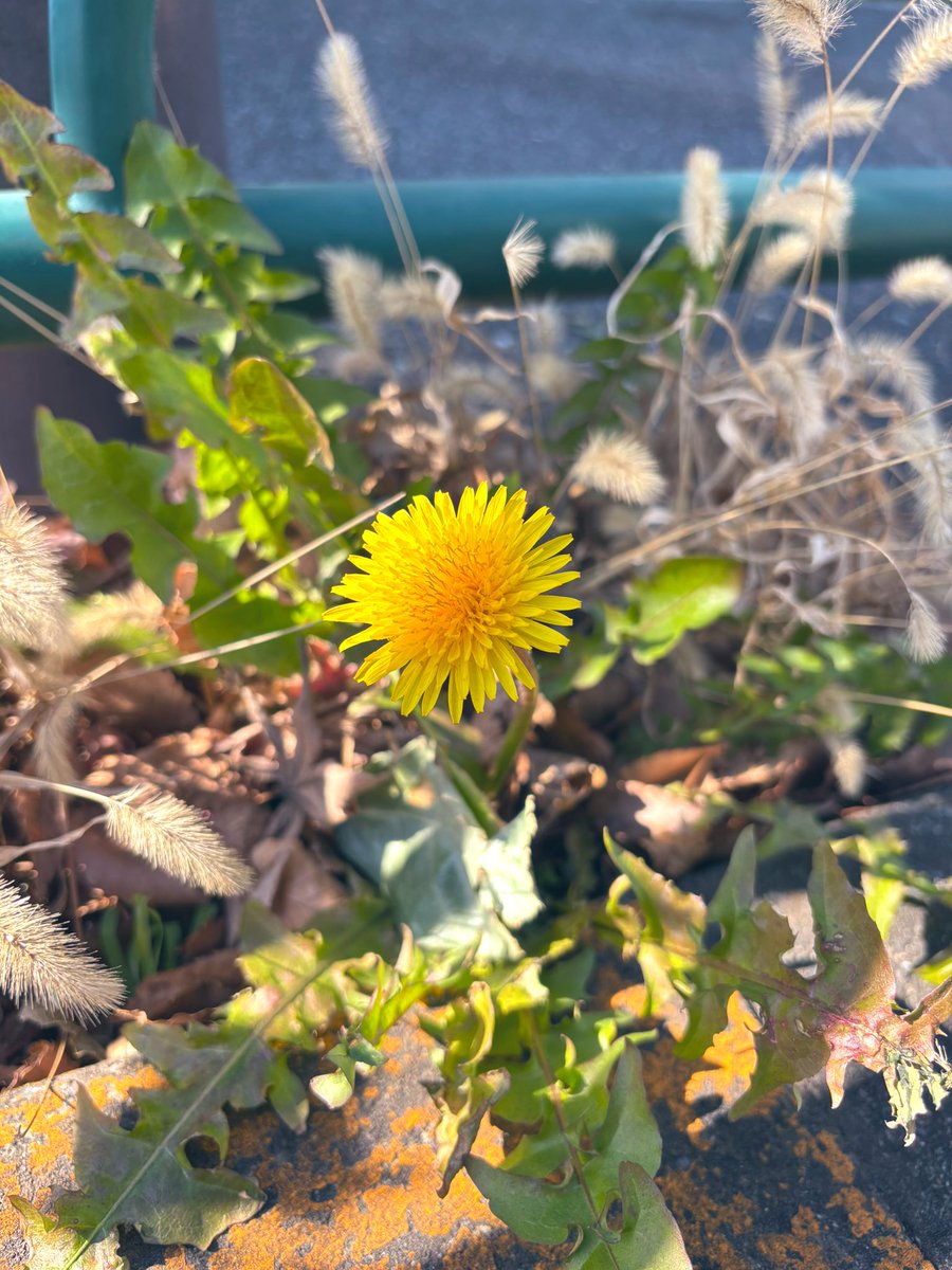 鳴紗 ˗ˏˋ♥︎︎ˎˊ˗ tweet media