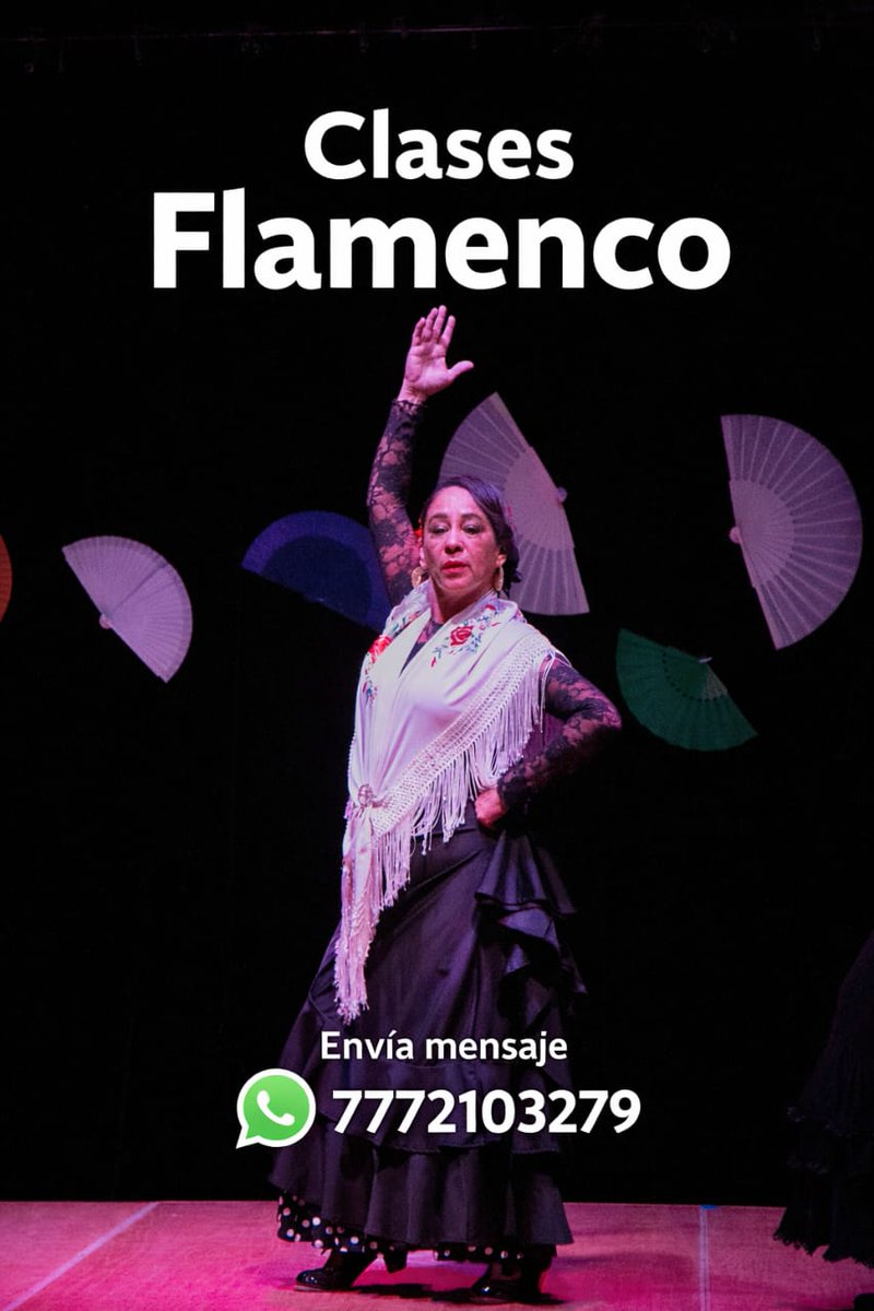 Vida Flamenca tweet media