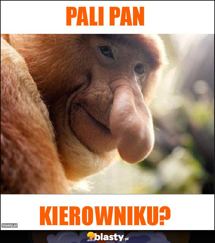 Hahahaha 🥴