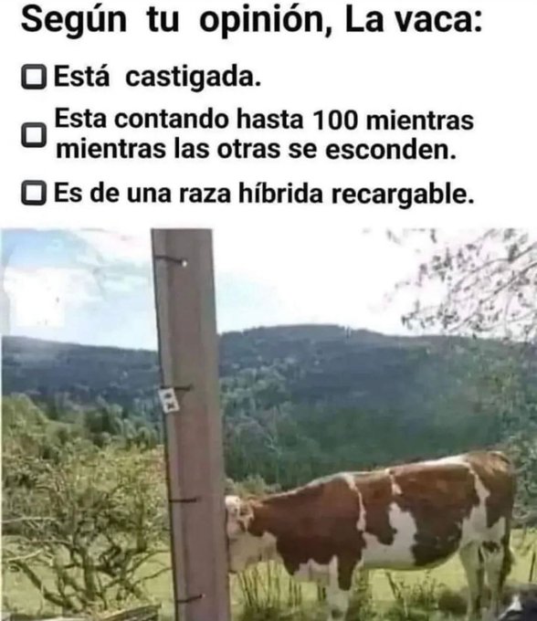 BFrog (@bfrog__) on Twitter photo 