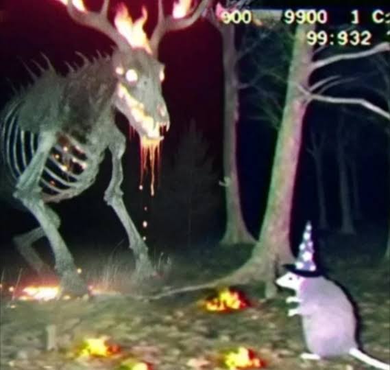 Witch Hat Atelier Brasil 🧙 tweet media