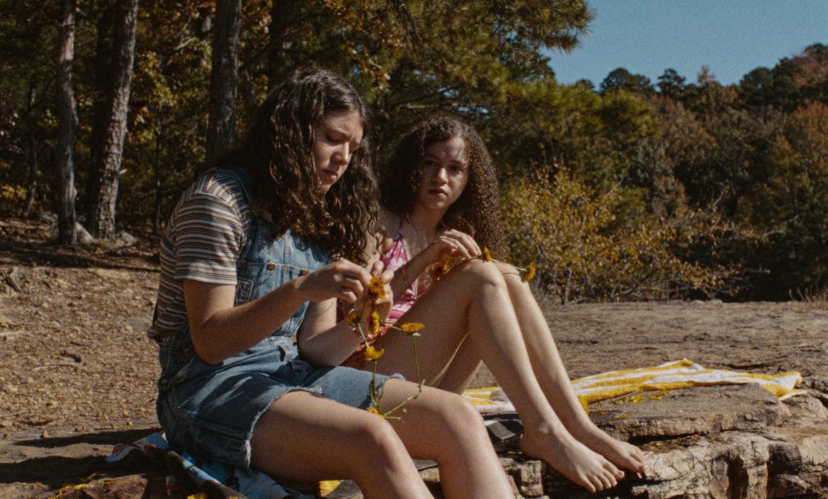 Daniel Kasman tweet media