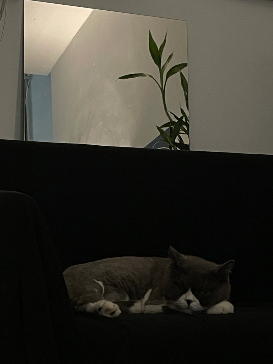 BACrrtaw's tweet photo. 私はそれが何を考えているのか、とても興味があります。 https://t.co/hTGxzvHN4i