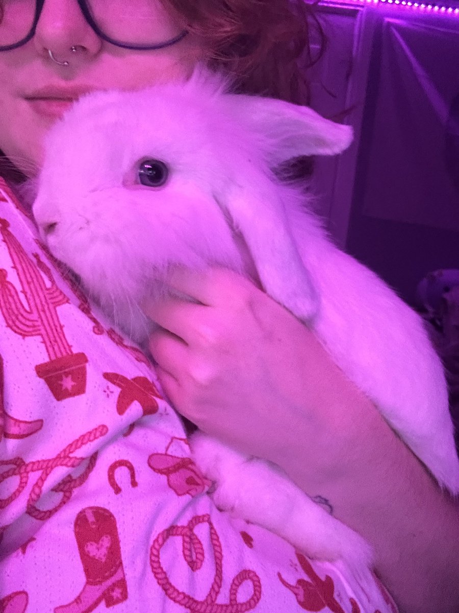 𝓴𝓮𝓷𝔃 ♡ tweet media