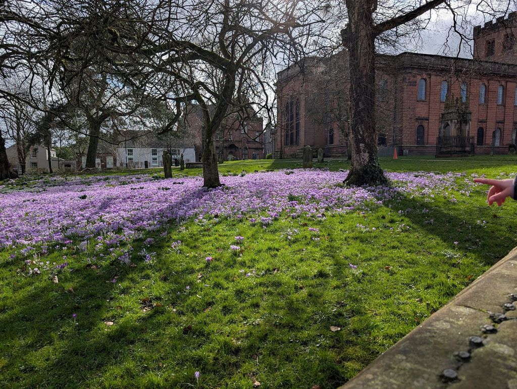 owenconvey's tweet photo. Spring is coming earlier and earlier. https://t.co/KAP34nC5ao