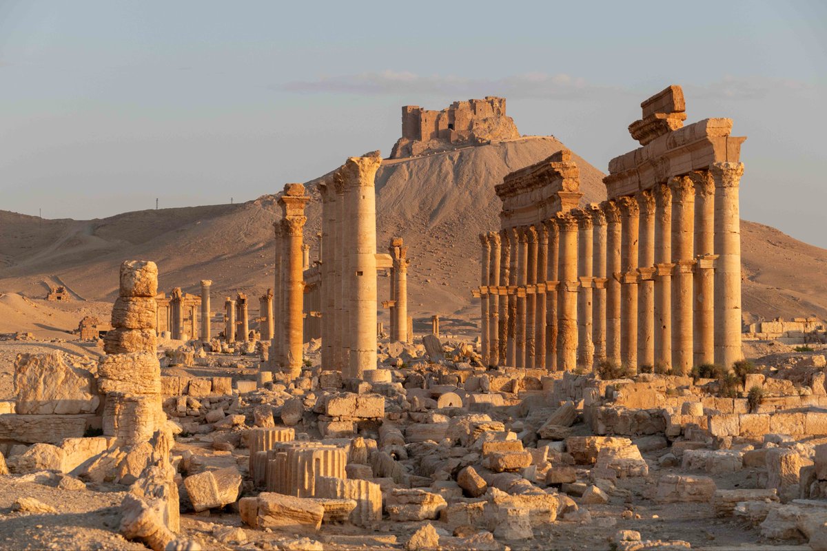 Untamed Borders tweet media