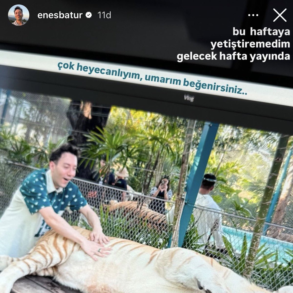 Pusholder tweet media