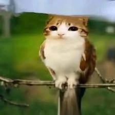 OUT-LittN! tweet media