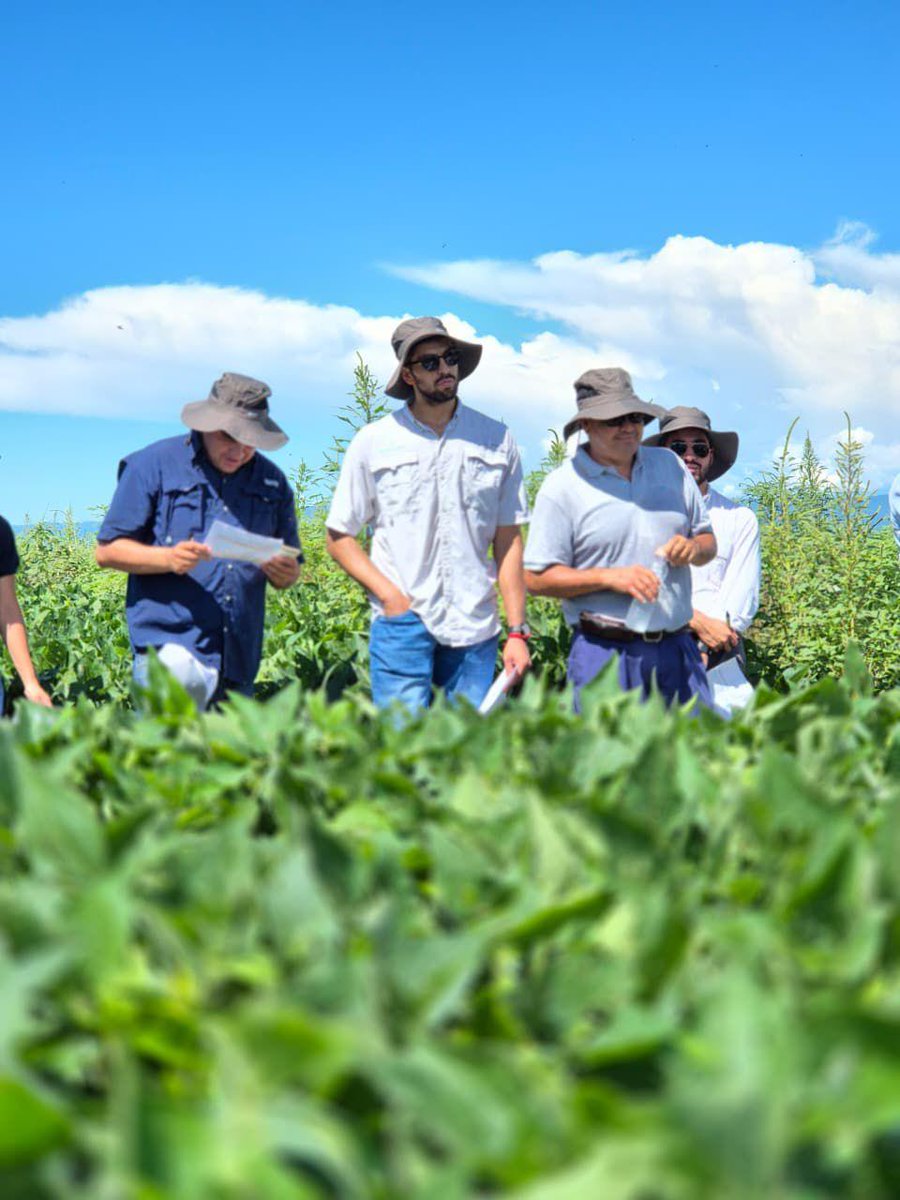 Corteva Argentina tweet media