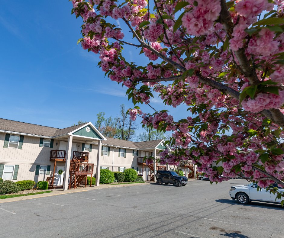 Conveniently located off the Mileground, Grapevine Village offers easy access to I-68 and I-79, major hospitals, shopping, and dining.

Apartments feature in-unit washer and dryer, private decks, and pet-friendly living. 
liveatmetro.com/grapevine-vill…