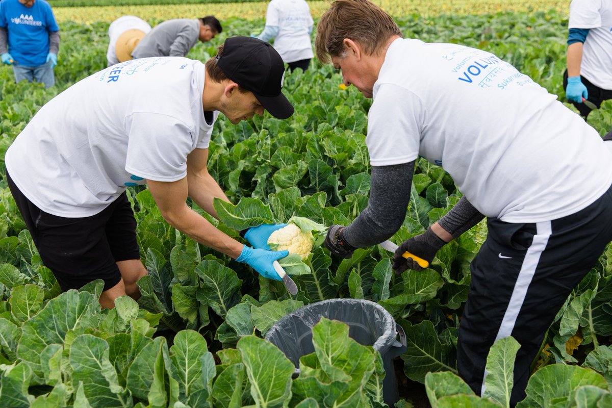 Second Harvest Food Bank of Orange County tweet media