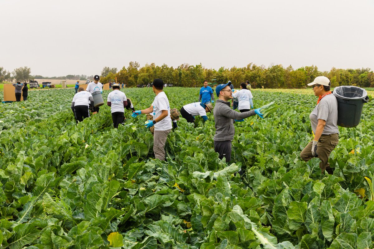 Second Harvest Food Bank of Orange County tweet media