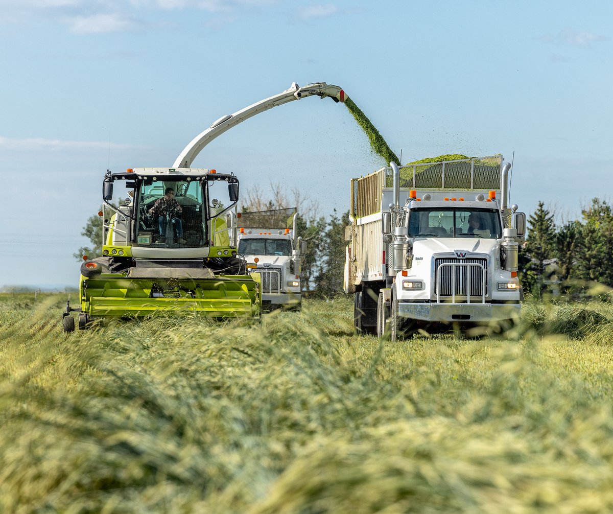 KWS Canada tweet media