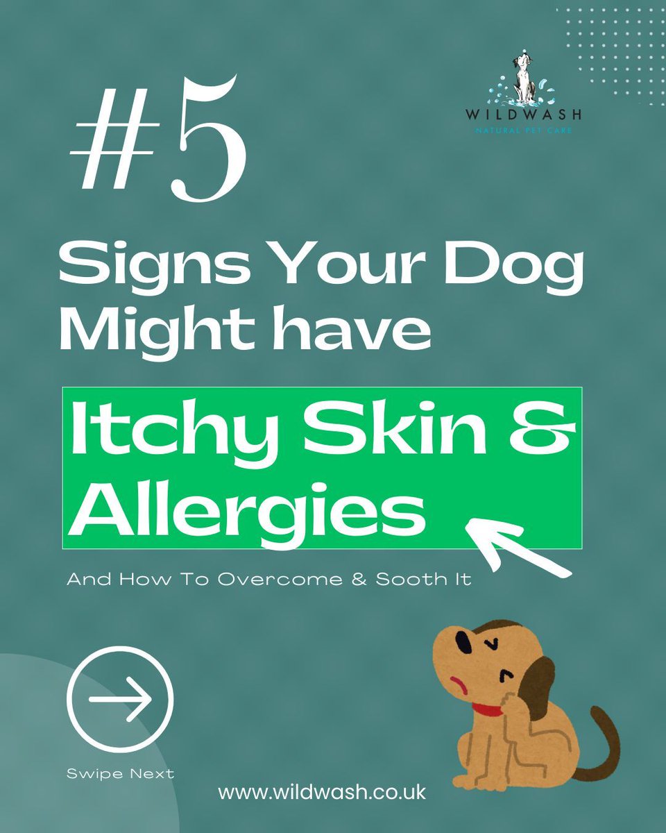 WildWash tweet media