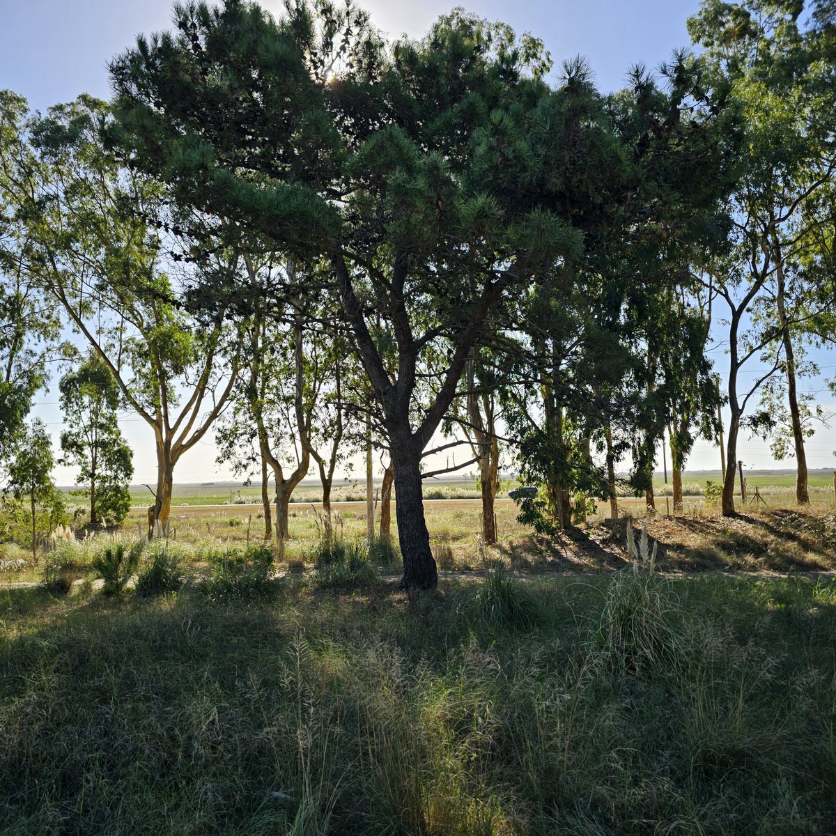 Jorge (@charliejor) on Twitter photo 