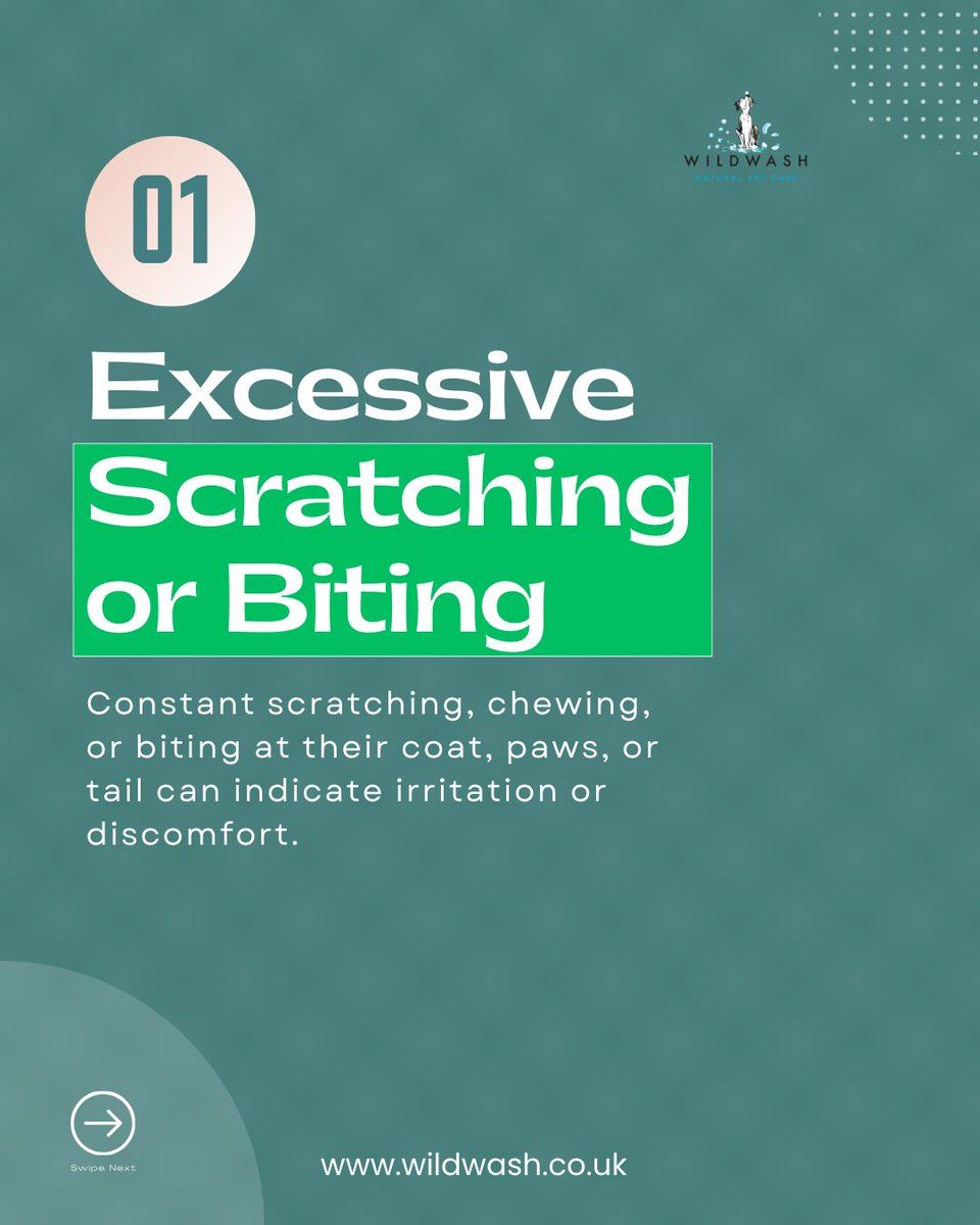 WildWash tweet media