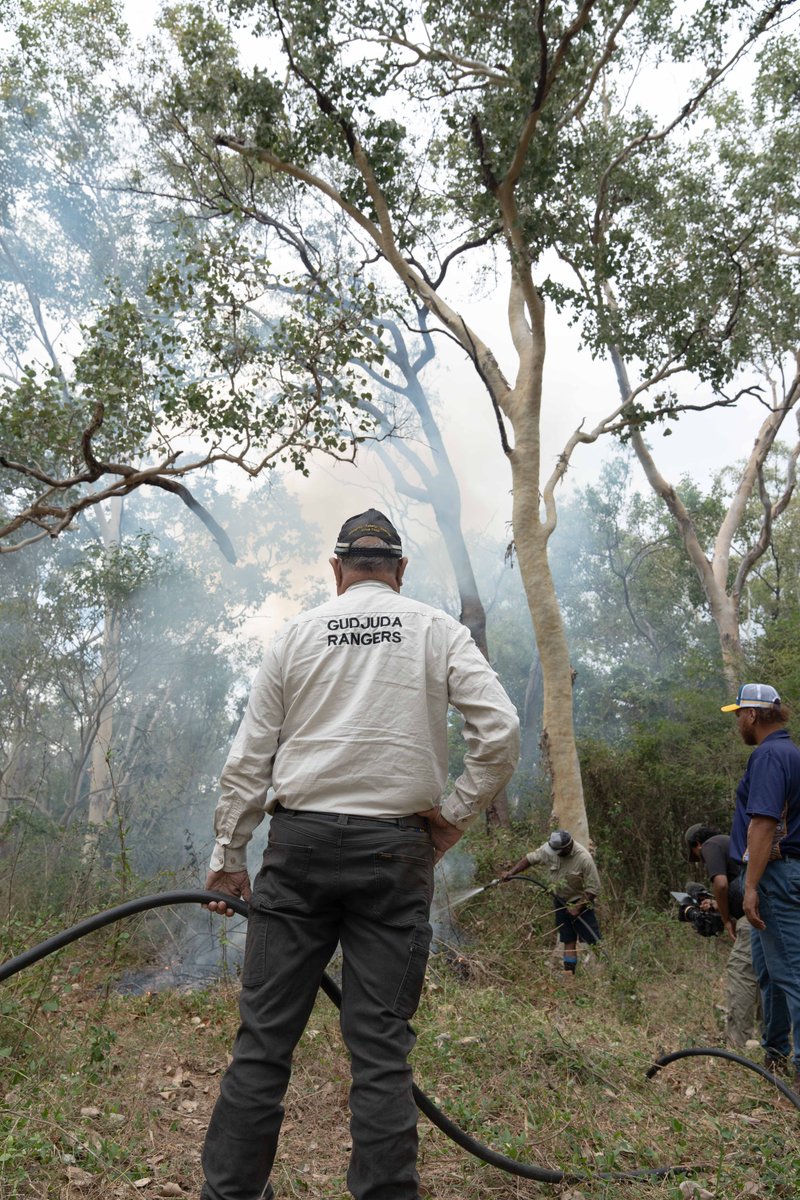 Firesticks tweet media