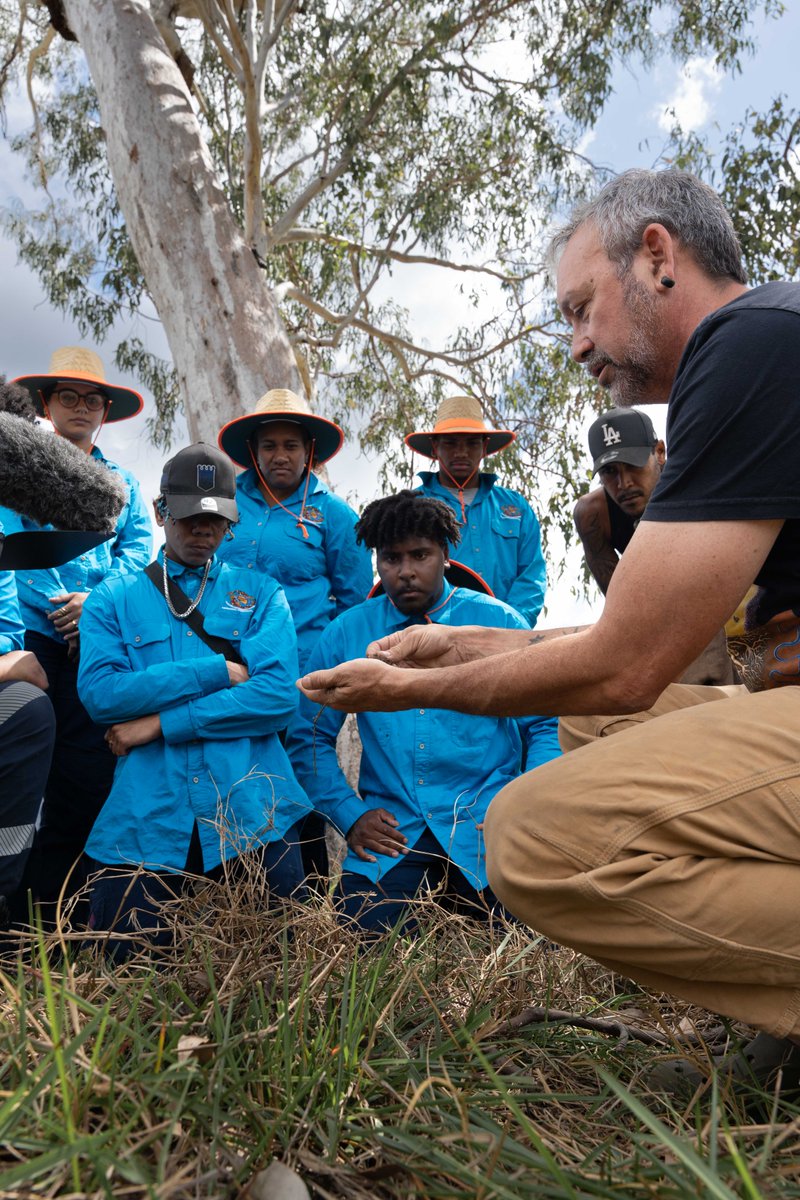 Firesticks tweet media