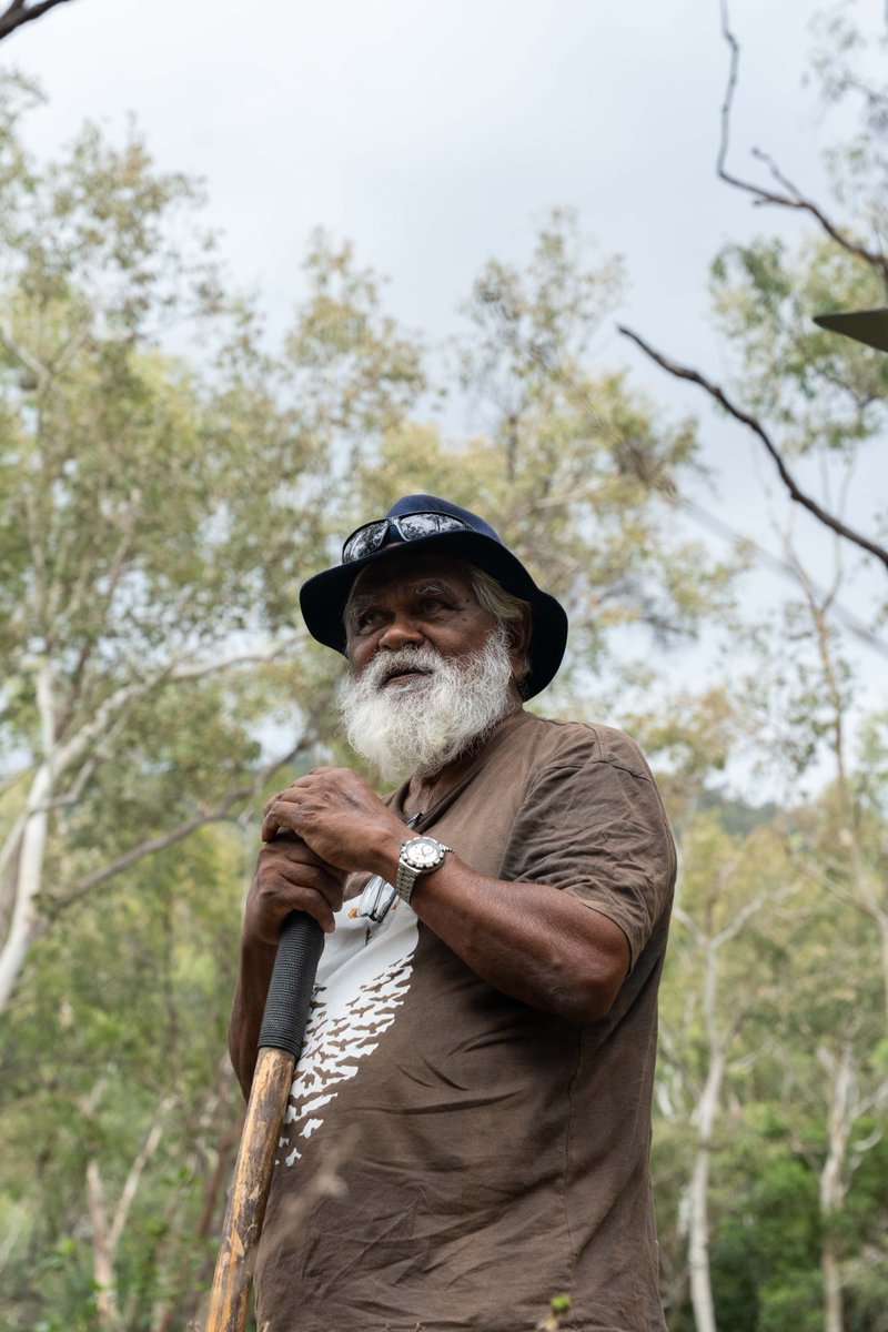 Firesticks tweet media