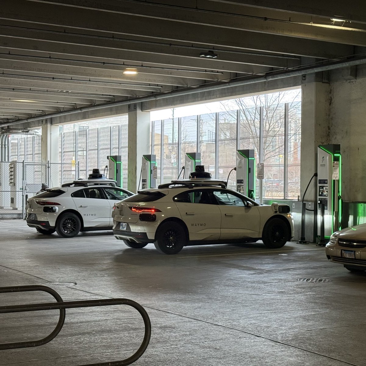 Scooter Doll tweet media