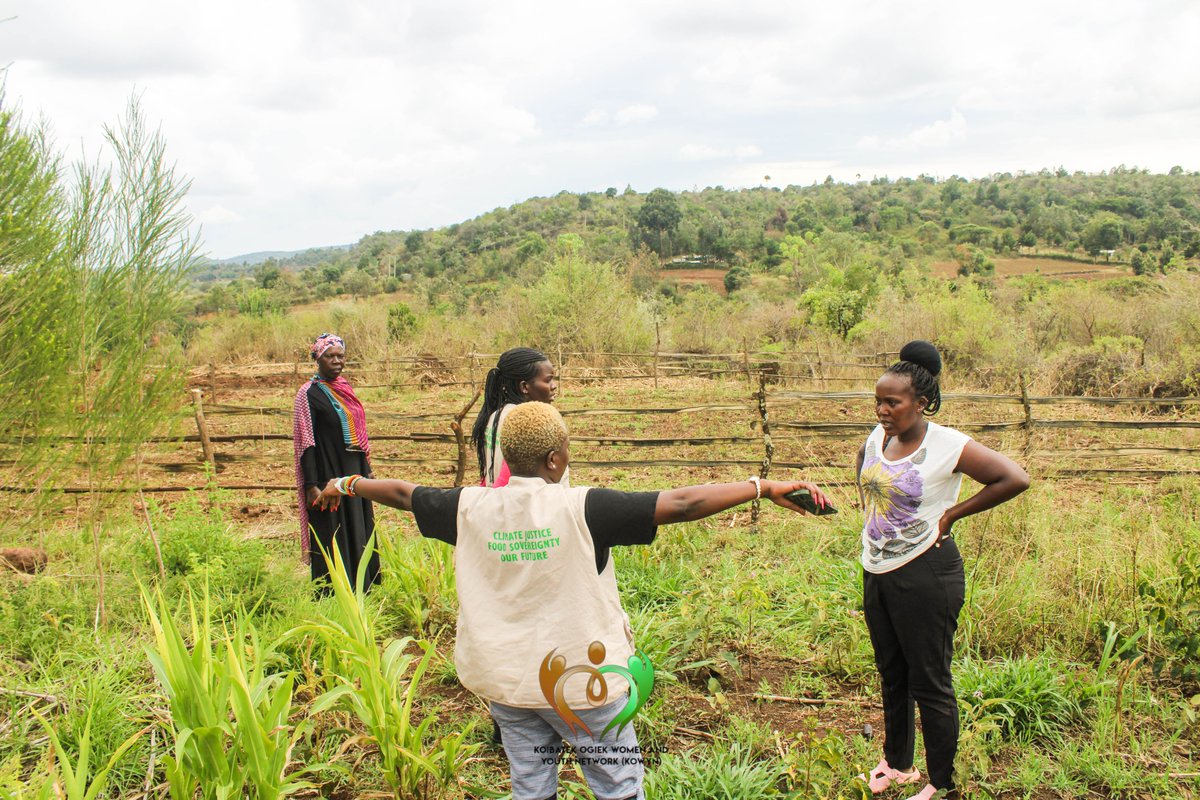 koibatek_ogiek's tweet photo. A new dawn in Kabimoi! We joined Tolilo Women Group today for a project intro. We’re bringing back indigenous seeds to restore the "great food" of our elders and heal the soil. Healthy soil = Healthy people. #KOWYN #Agroecology #JACTrust #AJWS https://t.co/i3o6QLRryS