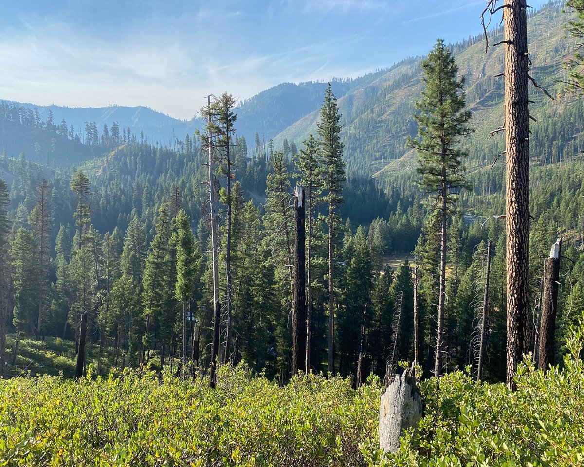 Boise State University tweet media