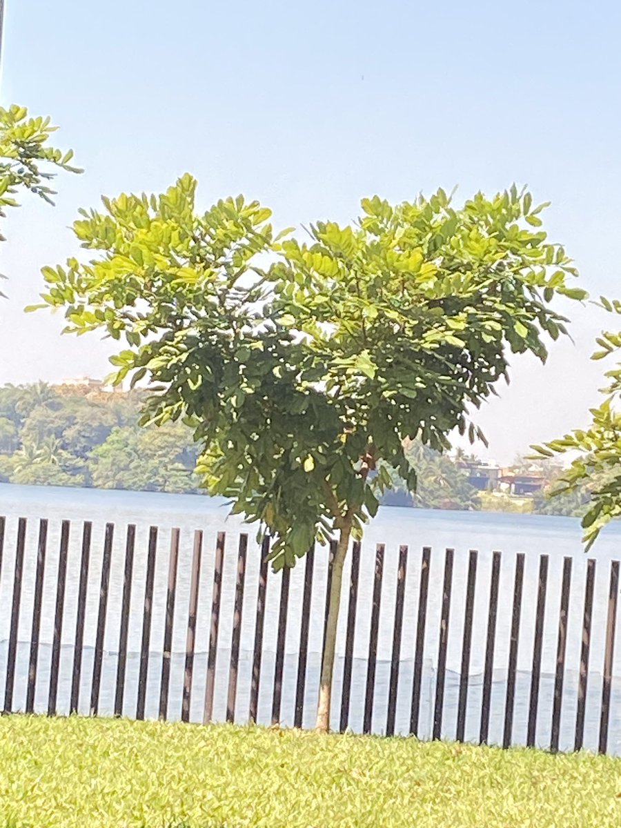 va_matus's tweet photo. Laguna de las Ilusiones #Tabasco https://t.co/dNXIVQXED0