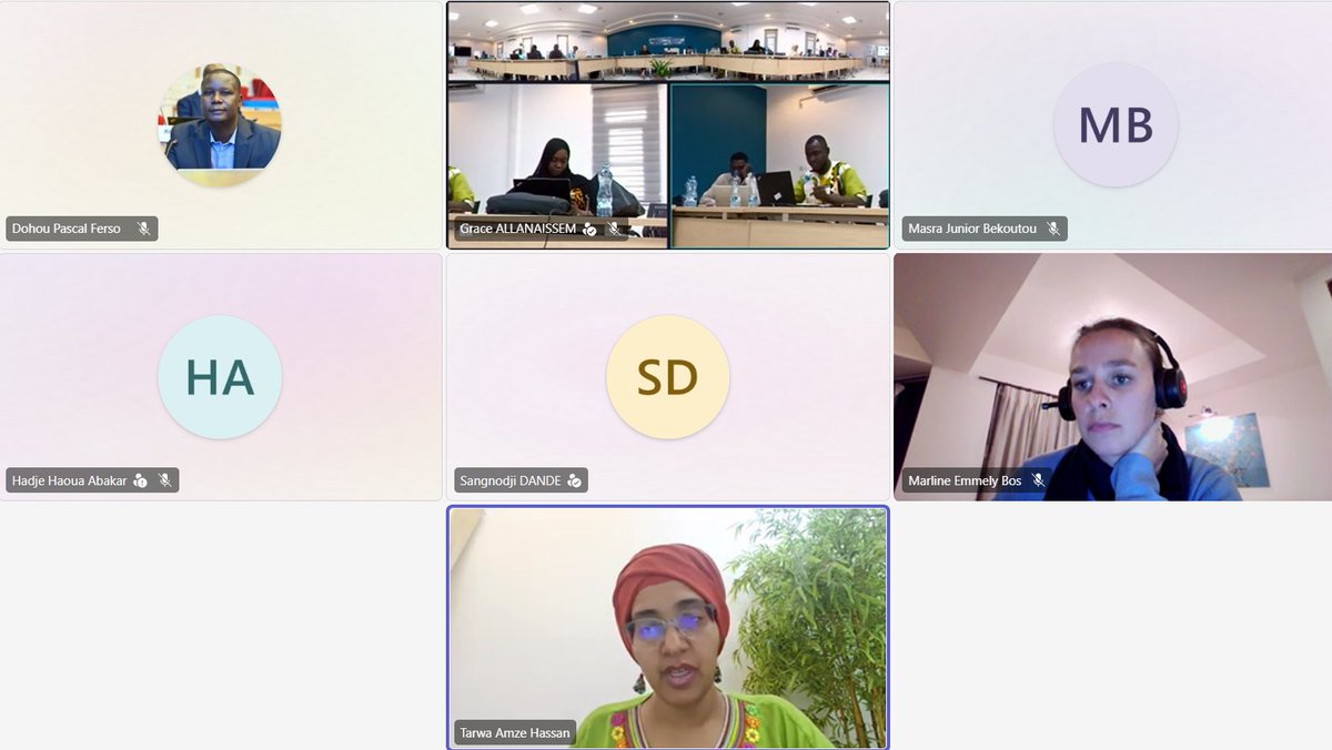 ONU Tchad tweet media