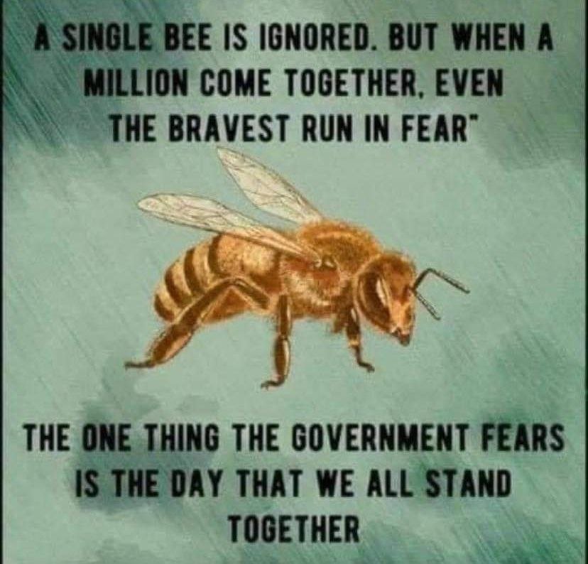 RestoreFalkirk tweet media