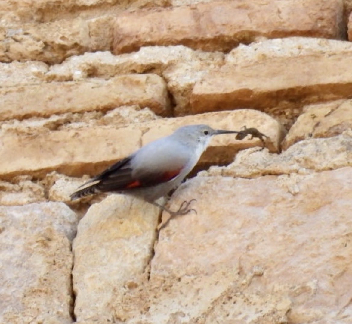 Paul Green tweet media