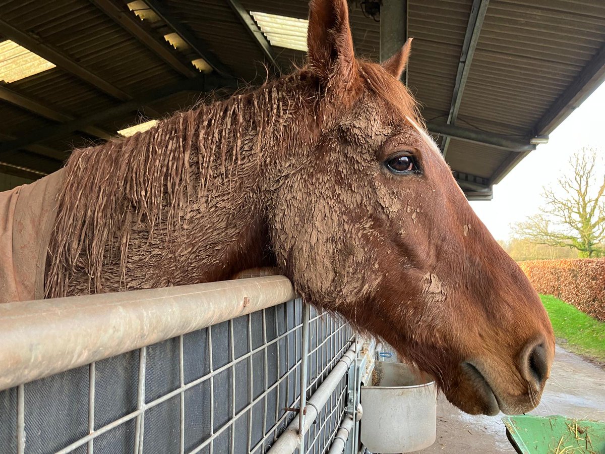 𝐊𝐞𝐫𝐫𝐲 𝐋𝐞𝐞 tweet media