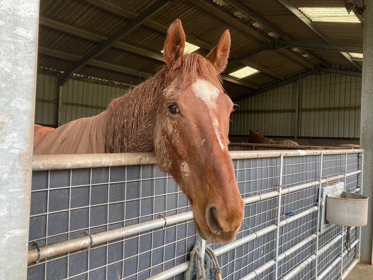 𝐊𝐞𝐫𝐫𝐲 𝐋𝐞𝐞 tweet media