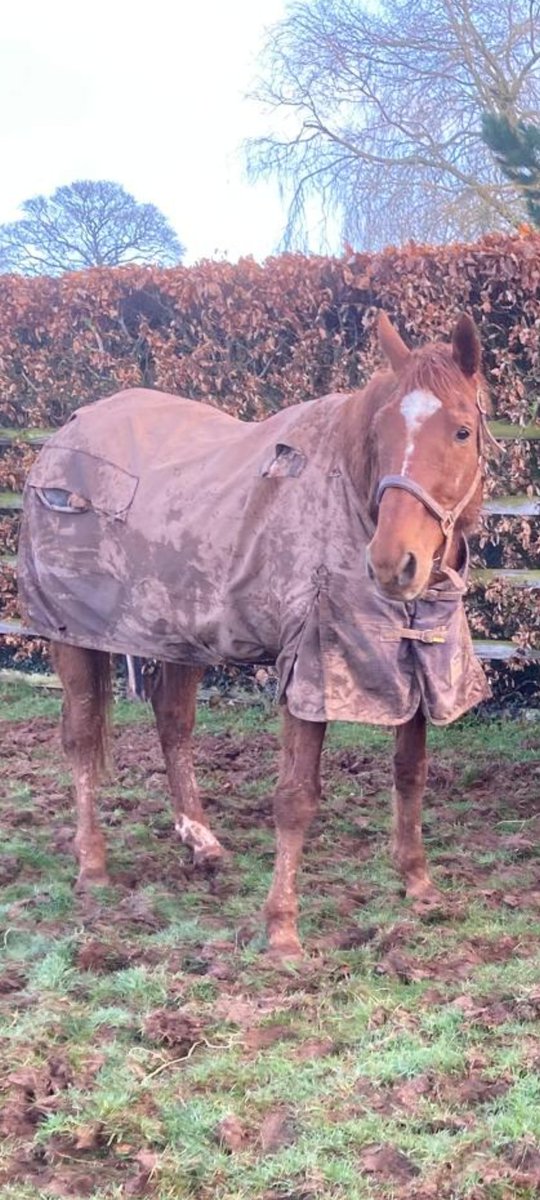 𝐊𝐞𝐫𝐫𝐲 𝐋𝐞𝐞 tweet media