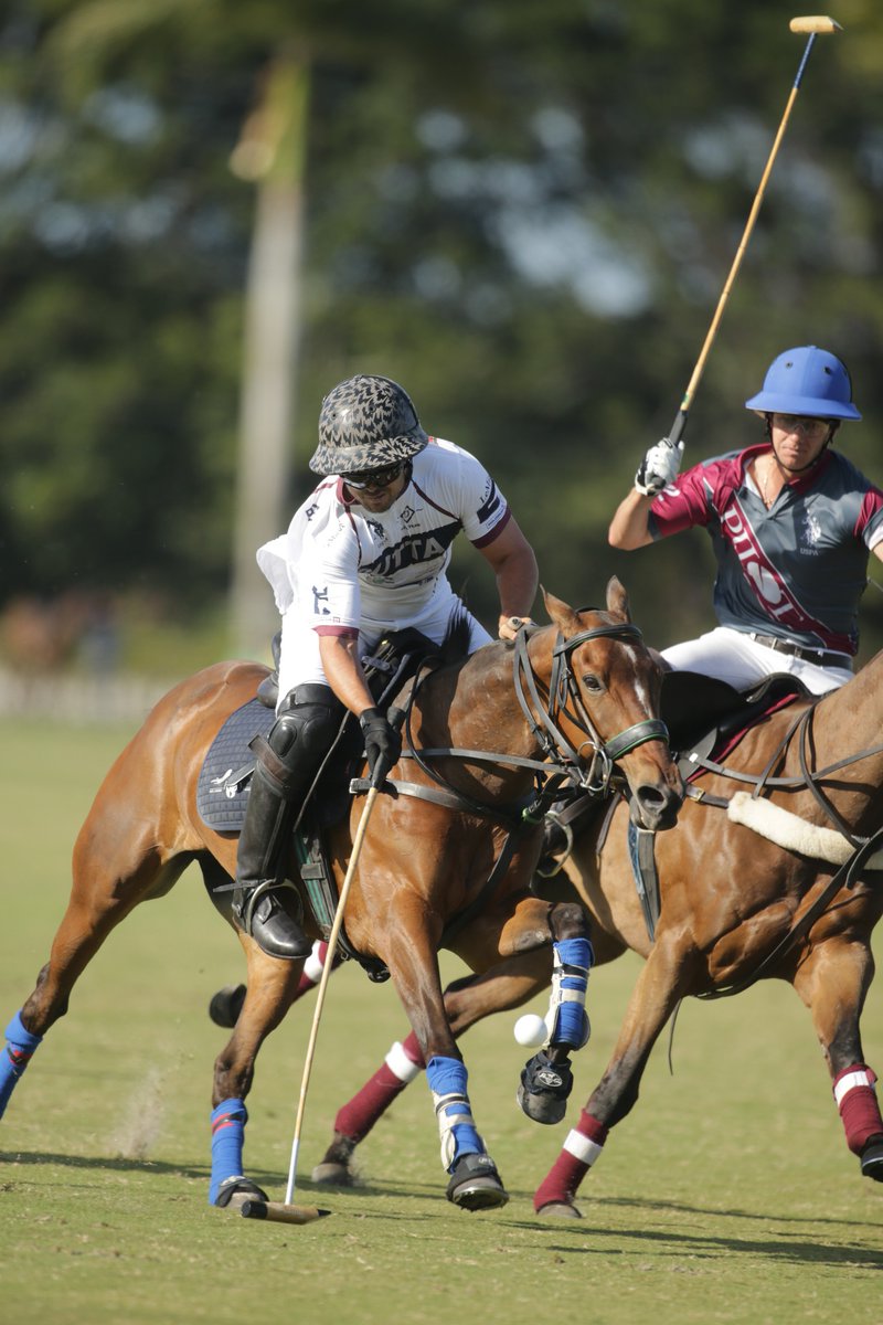 Polo Times tweet media
