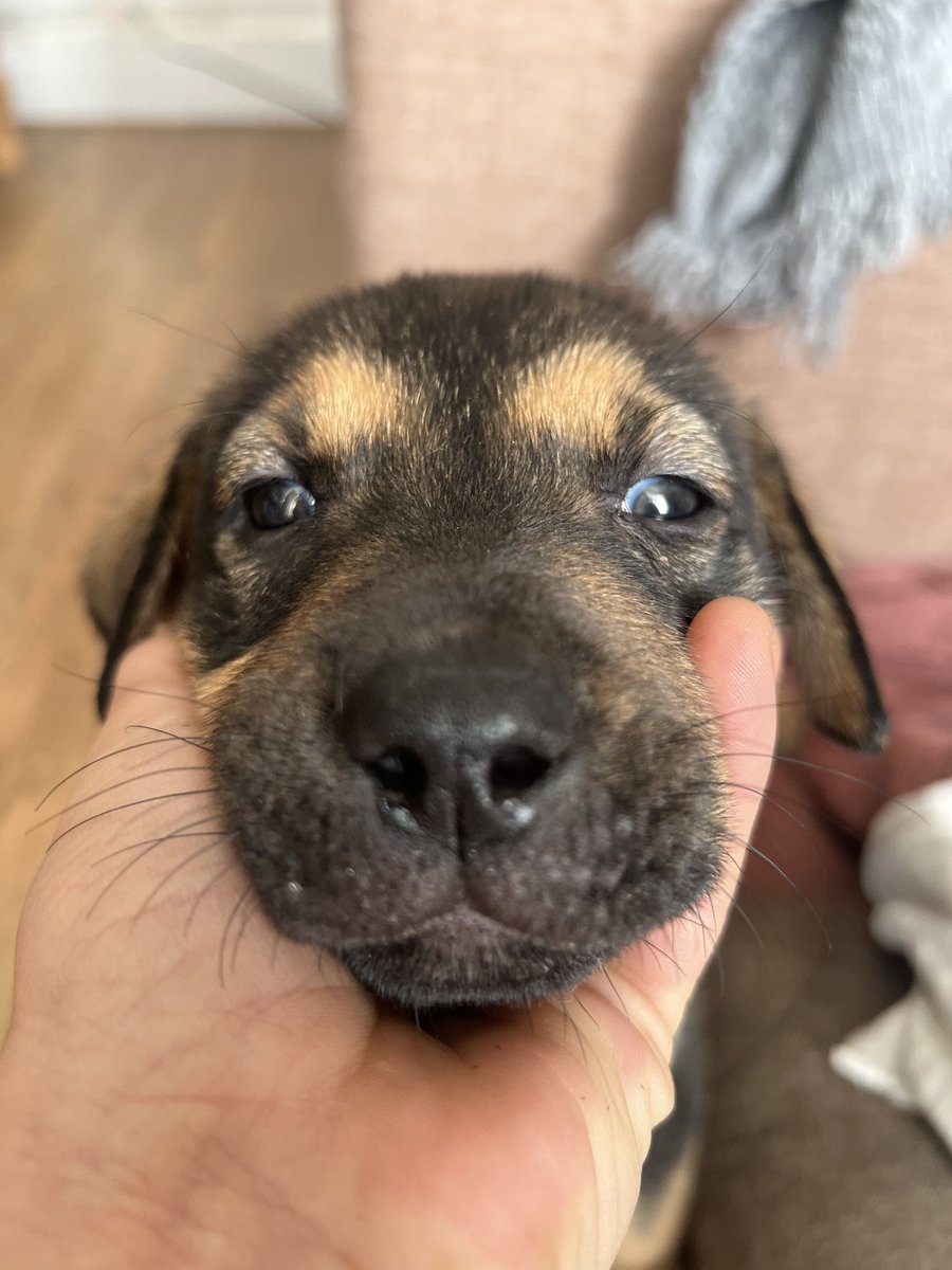 ¿Por qué nadie pregunta por Rufián? 🥹