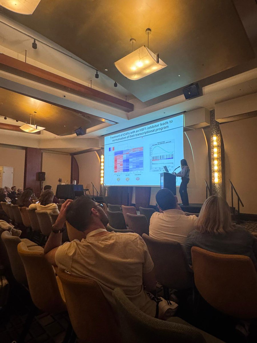 Debra Barki tweet media