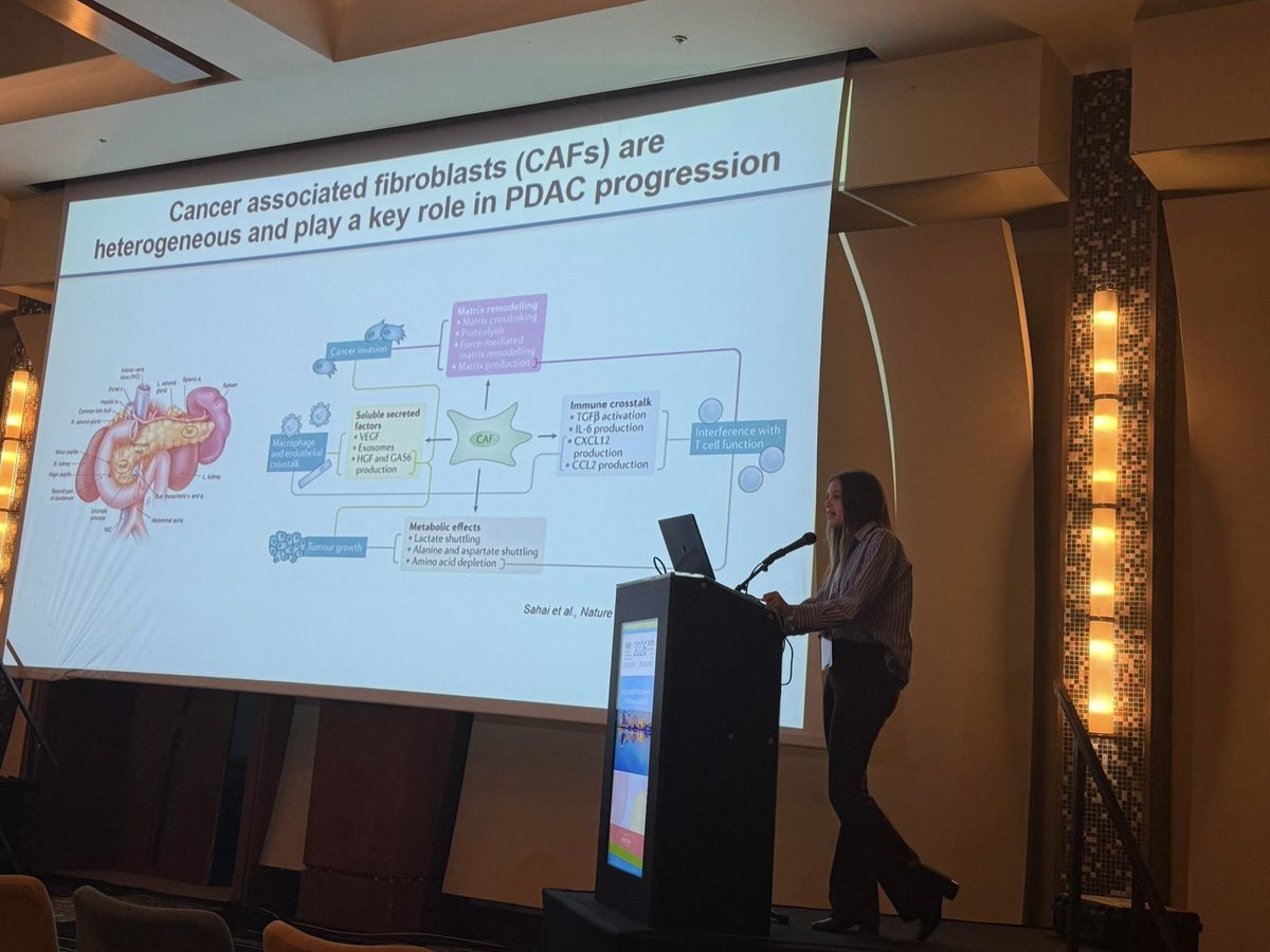 Debra Barki tweet media