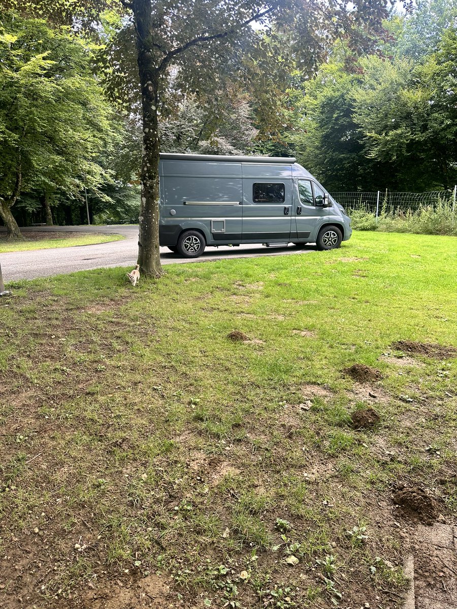 liberty✡️🚻🇩🇪🇨🇭🇮🇱 tweet media