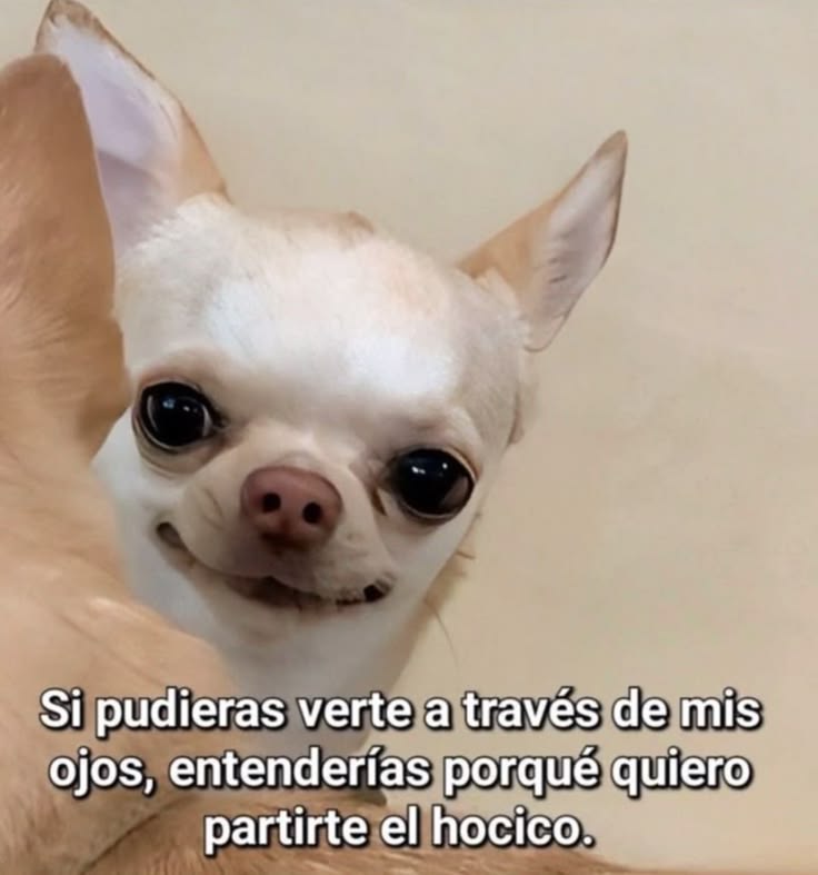 Pkittass (@pkittass) on Twitter photo 