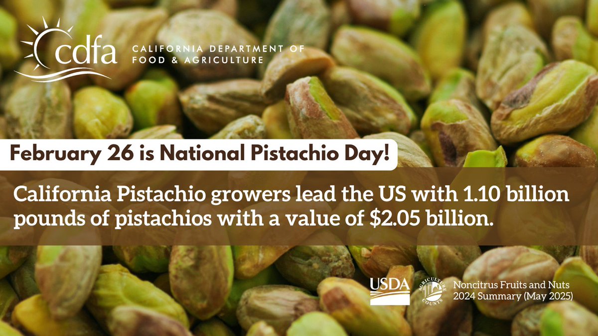 CDFAnews's tweet photo. 🌿 February 26 is National Pistachio Day!
California pistachio growers lead the nation, producing 1.10 billion pounds of pistachios valued at $2.05 billion. That’s a whole lot of crunch! 💚
#PistachioDay #Pistachios #Farmers #CalAg https://t.co/M4ag9iQCsa