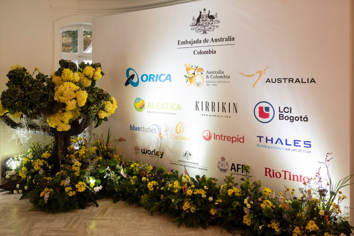 Anna Chrisp tweet media