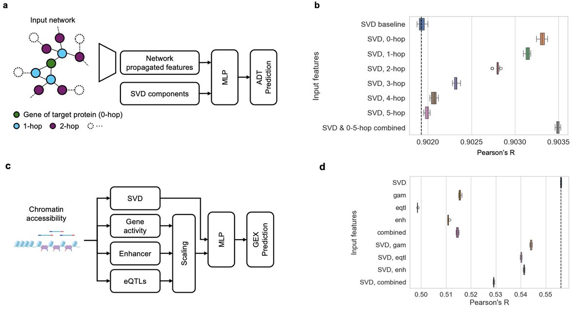 Vladimir Shitov tweet media