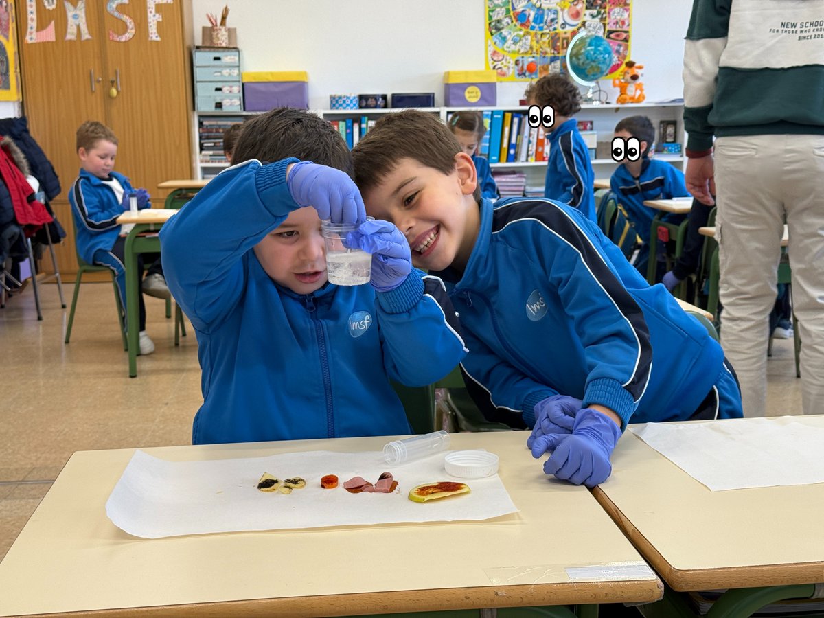 Colegio LMSF tweet media
