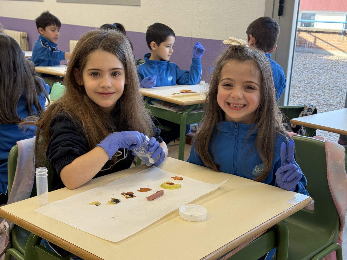 Colegio LMSF tweet media