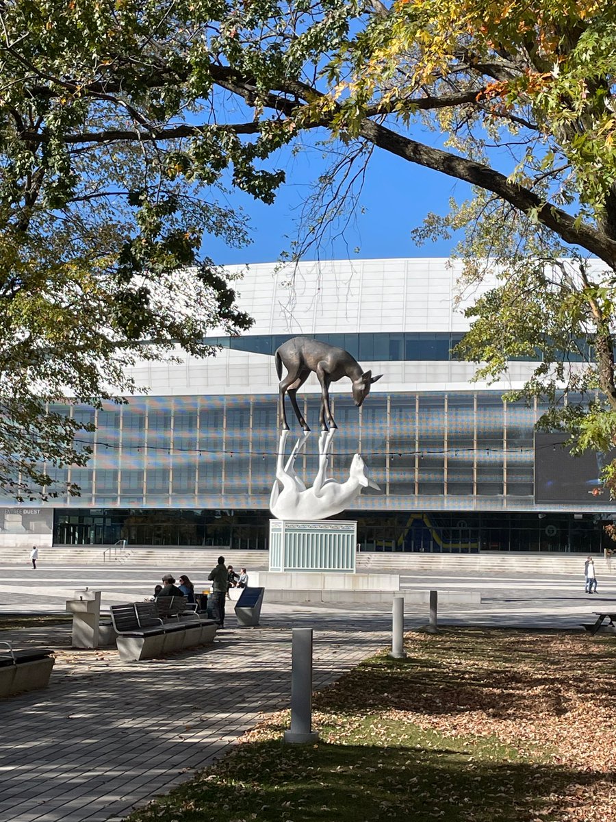 C. Tremblay tweet media