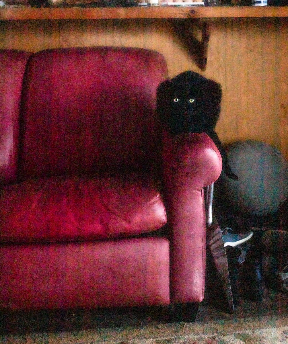 fotogosaurus's tweet photo. green eyes https://t.co/Bjw5QdF4mn #VT #Vermont #NewEngland #cat #CatsOfTwitter #CatOfTheDay #BlackCat #GreenEyes #Winter #February #moment #Think #reflect #redCouch #watching #Wonder #lookUp #Canon #ThinkingAboutSpring https://t.co/tgEB6HUdUn