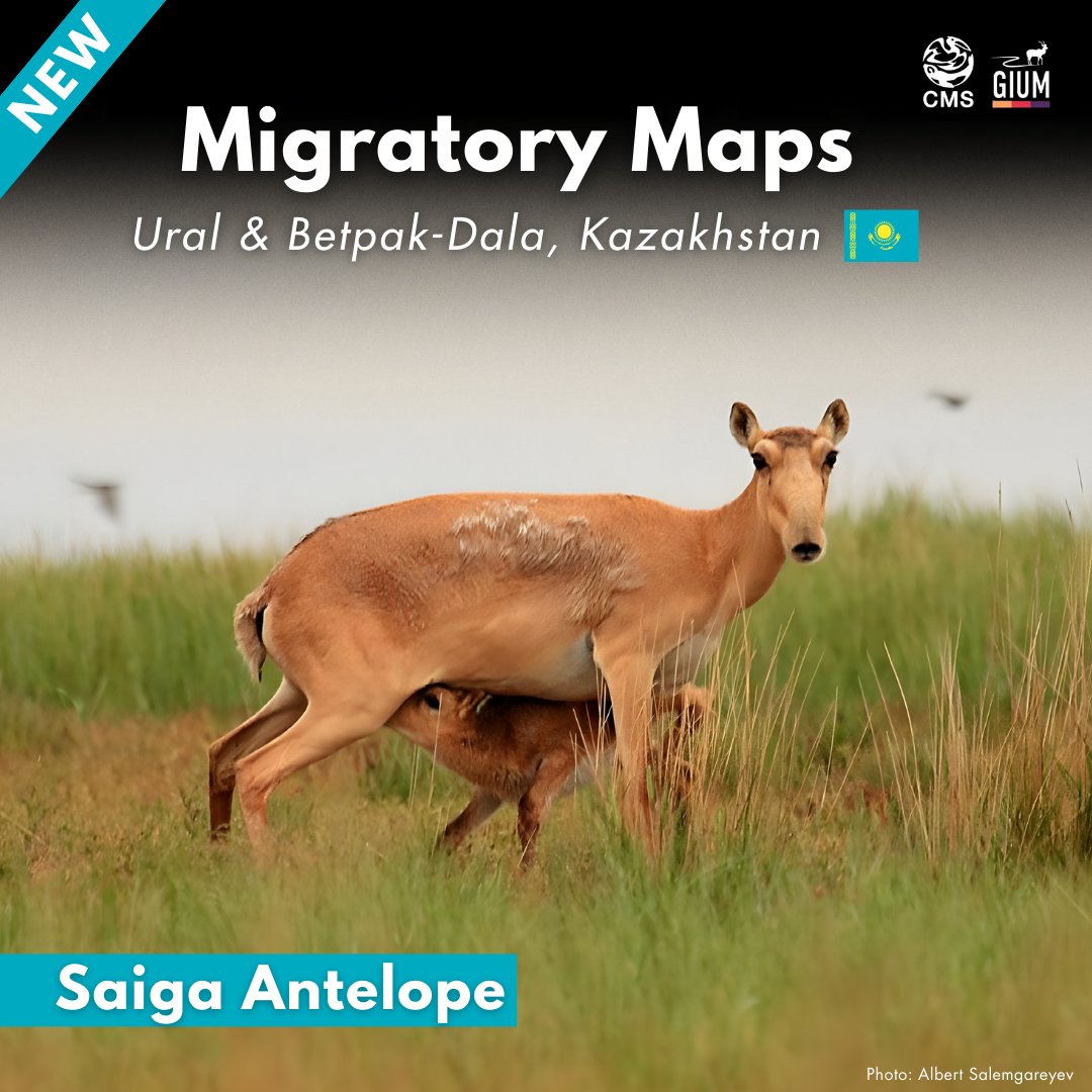 Convention on Migratory Species (CMS) tweet media