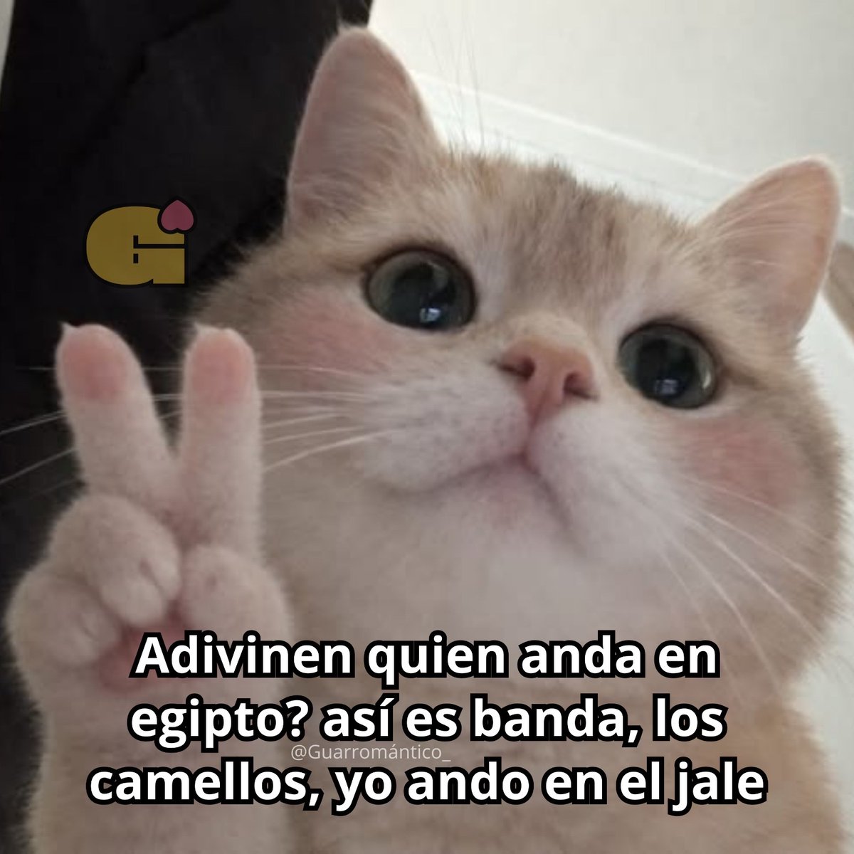 Adivinen.
